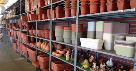 124253351_1742107345953196_3420867835875754913_n